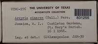 Image Associated With the Occurence